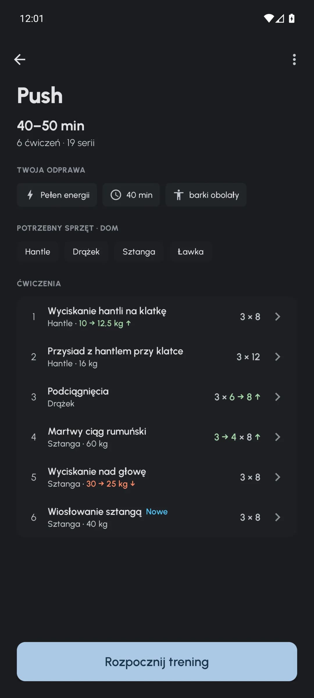 Przegląd treningu Fersonal z dopasowanymi ciężarami, powtórzeniami i seriami
