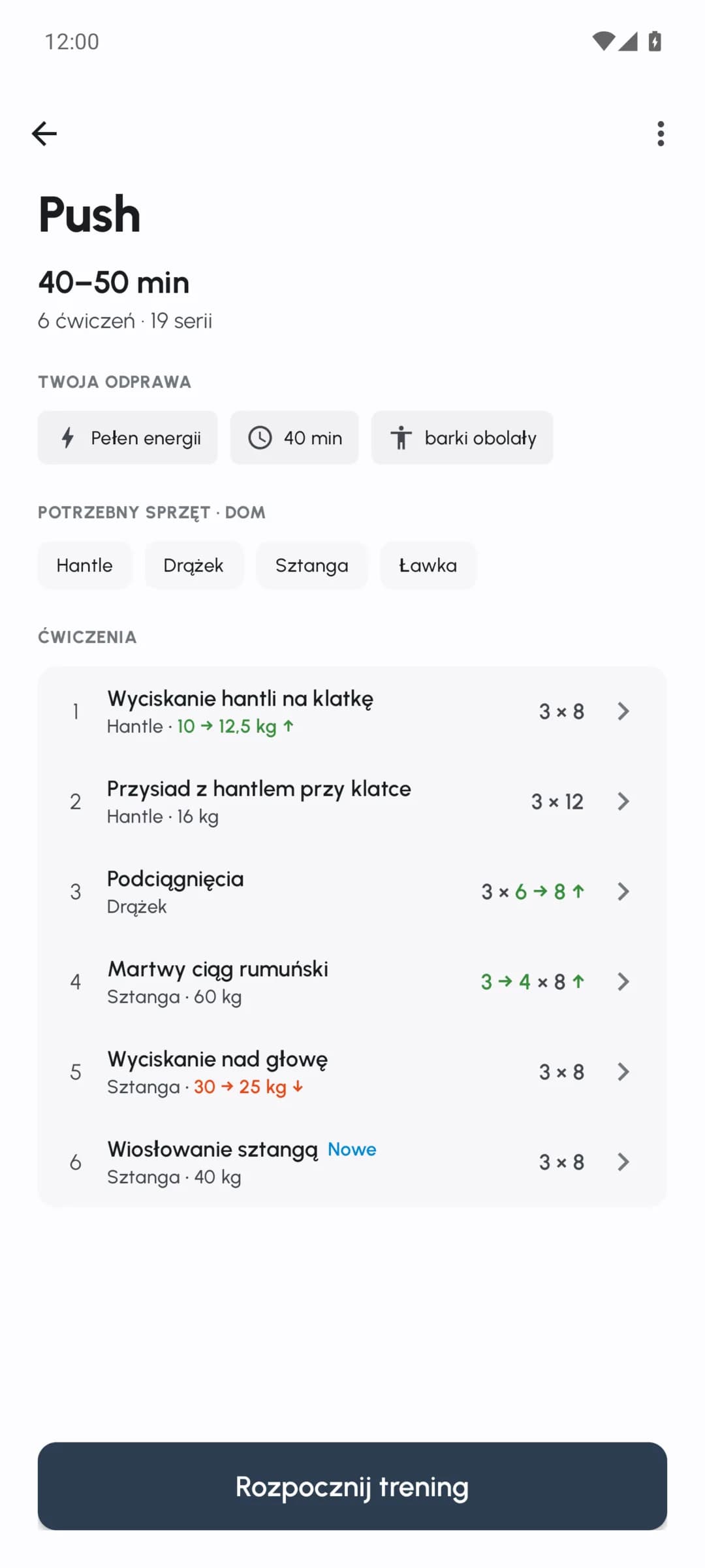Przegląd treningu Fersonal z dopasowanymi ciężarami, powtórzeniami i seriami