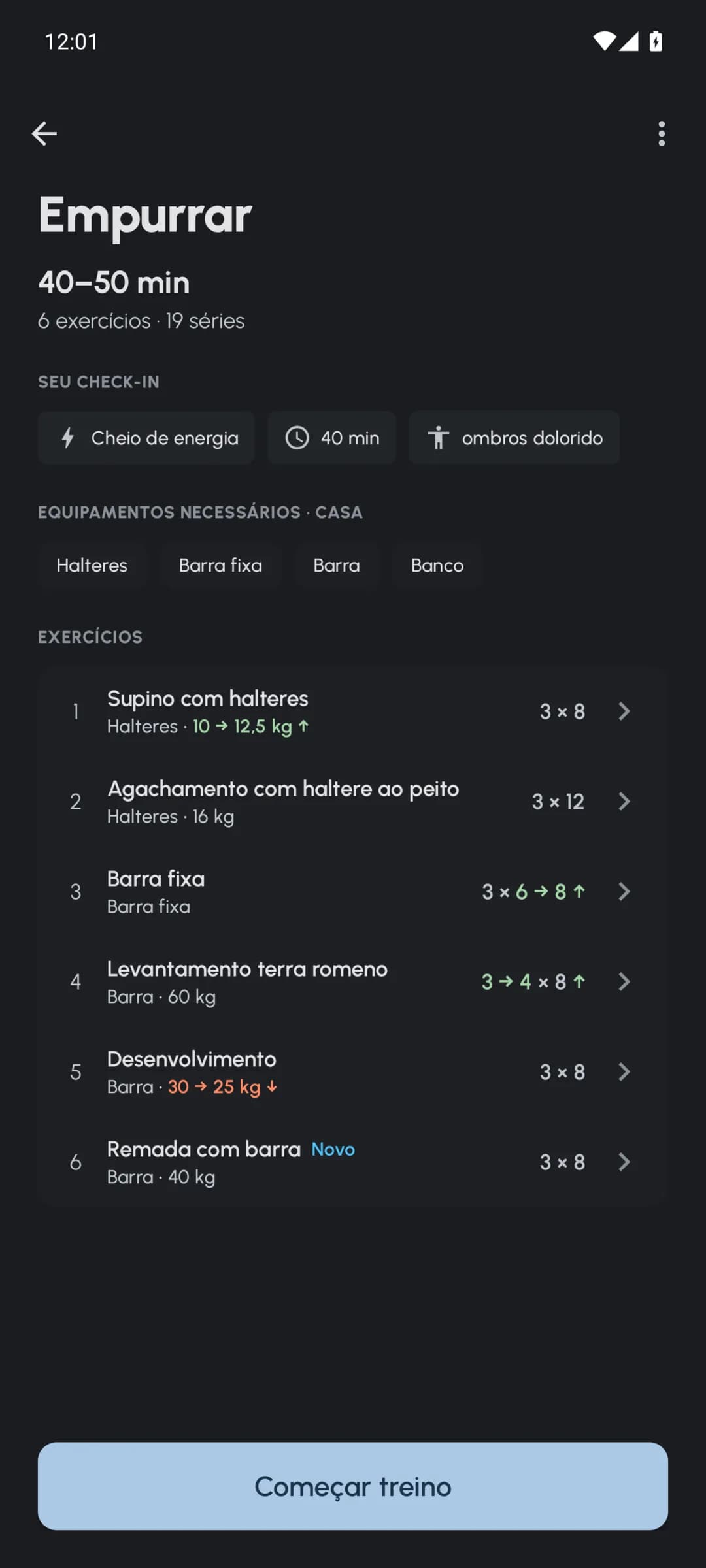 Visão geral de um treino Fersonal com pesos, repetições e séries ajustados
